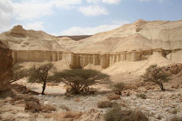 Saadia's Hike up Nachal Zohar and the Judean Desert -  near the Dead Sea